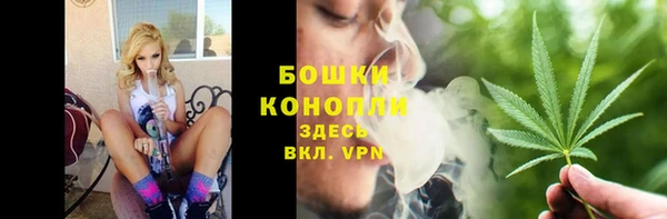 ALPHA-PVP Ленинск