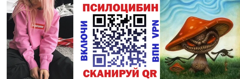 цены   Батайск  Галлюциногенные грибы Psilocybine cubensis 